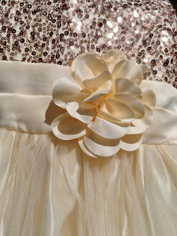 Phoebe Champagne Gold Sequin Dress- LPD008