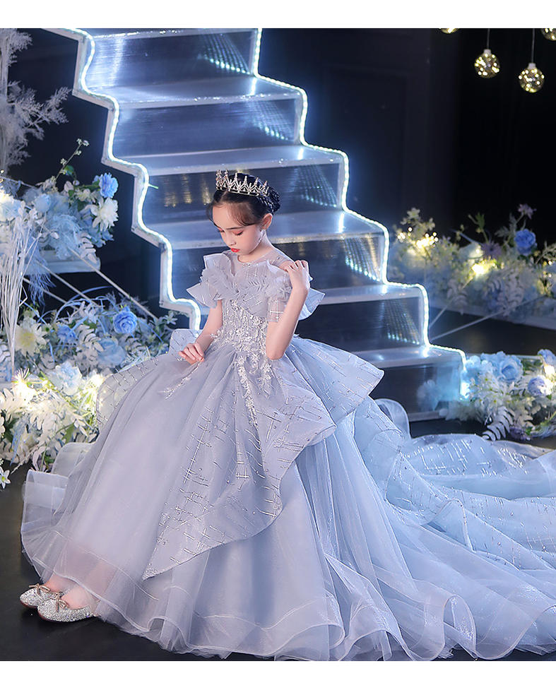 Heidi Stunning Silvery Grey Long Train Gown