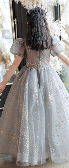 SLPD005 - Classic Silver Gray Long Dress