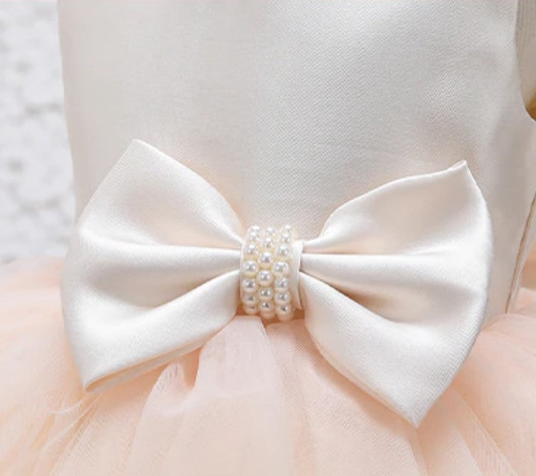 Lyca Champagne Flower Girl, Birthday, Special Occasion Dress- LPD061