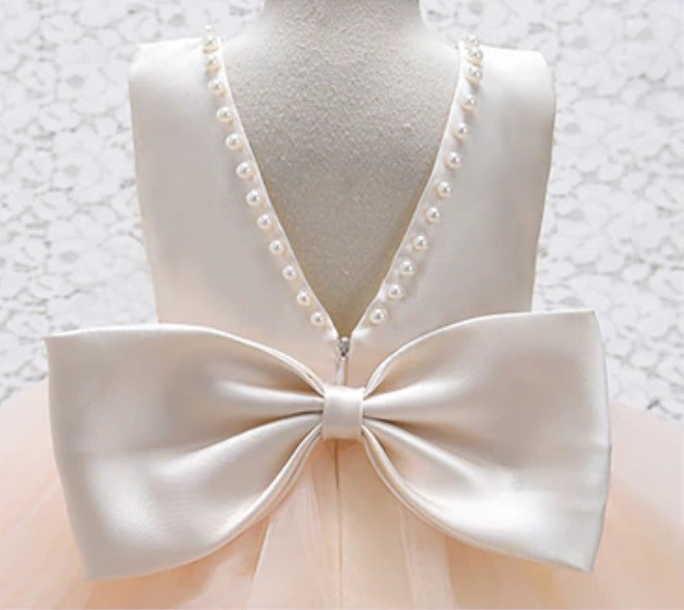 Lyca Champagne Flower Girl, Birthday, Special Occasion Dress- LPD061