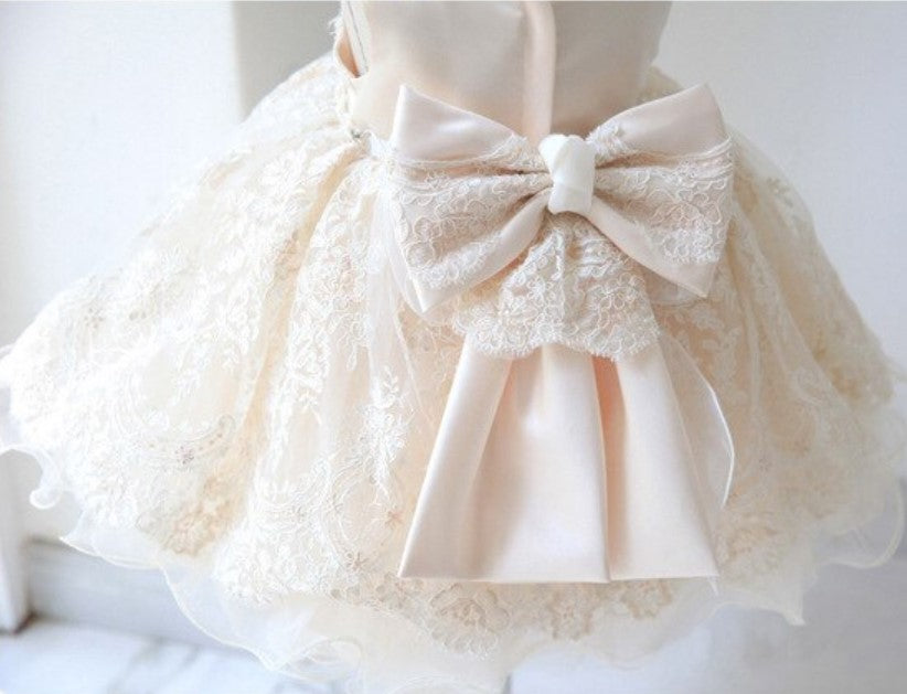 Emily Champagne Christening, Flower Girl Dress - LPD016