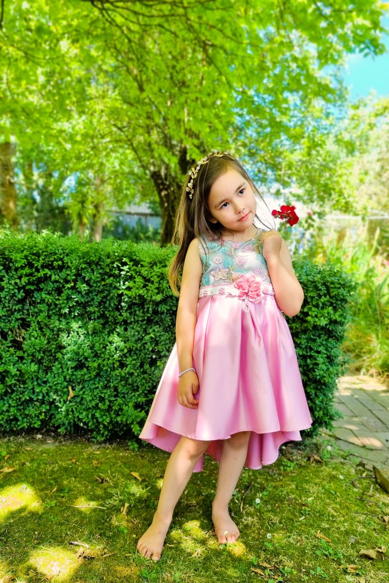 Dana Pink Embroidered Flower Girl, Birthday Dress - LPD035