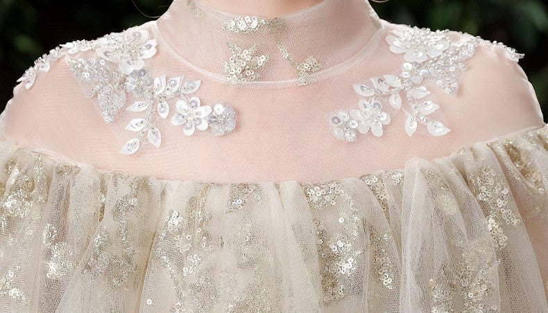 Preya Champagne Elegant Embroidered Ball Gown