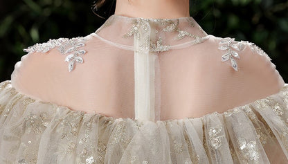 Preya Champagne Elegant Embroidered Ball Gown